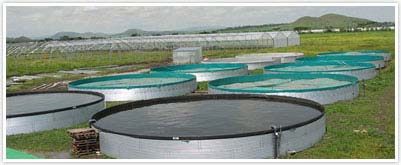 Water Silos